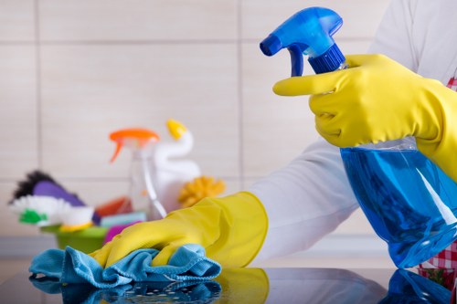 Upholstery and clothing stain removal solutions