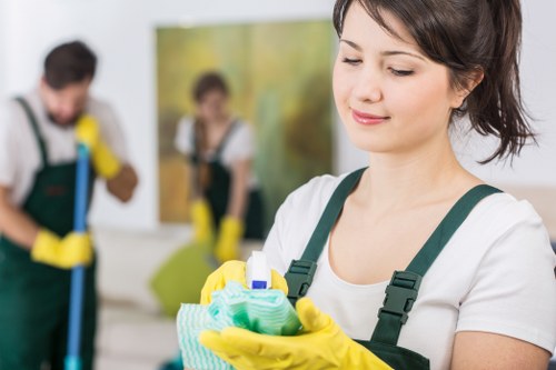 Inclusive Spitalfields Carpet Cleaners online access statement
