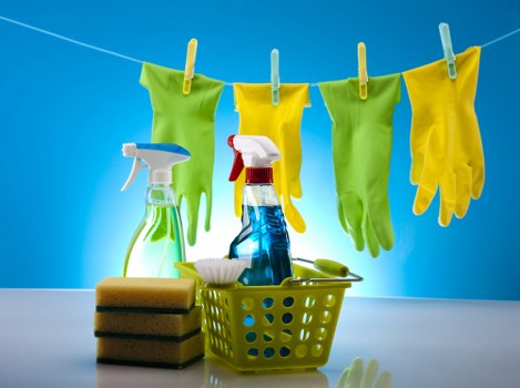 Professional pet stain cleaning for upholstery in Spitalfields